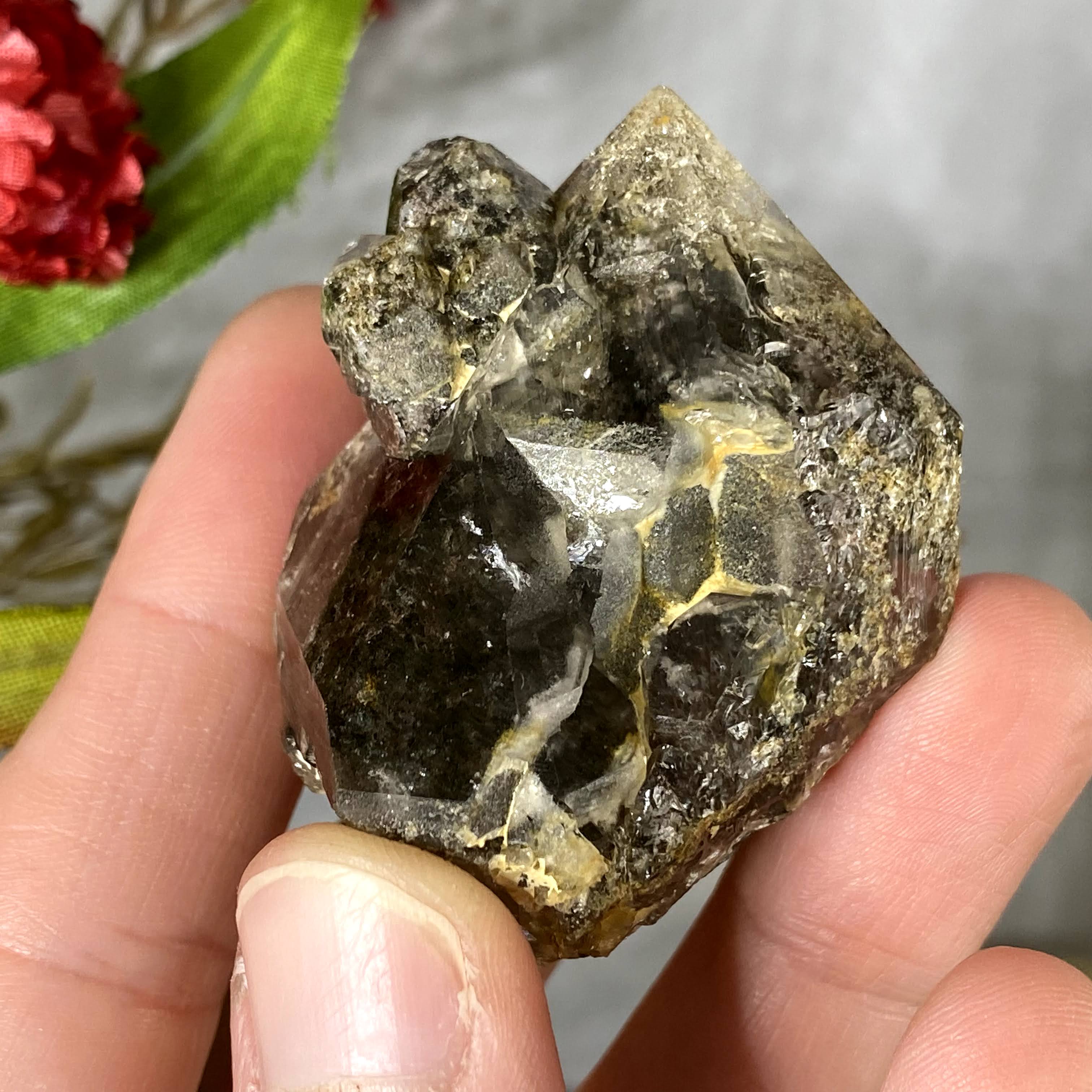 Lodolite / Scenic Quartz / Shamanic Dream Stone / Included Quartz Elestial Crystal Specimen! (405)