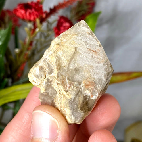 Lodolite / Scenic Quartz / Shamanic Dream Stone / Included Quartz Crystal Specimen! (408)