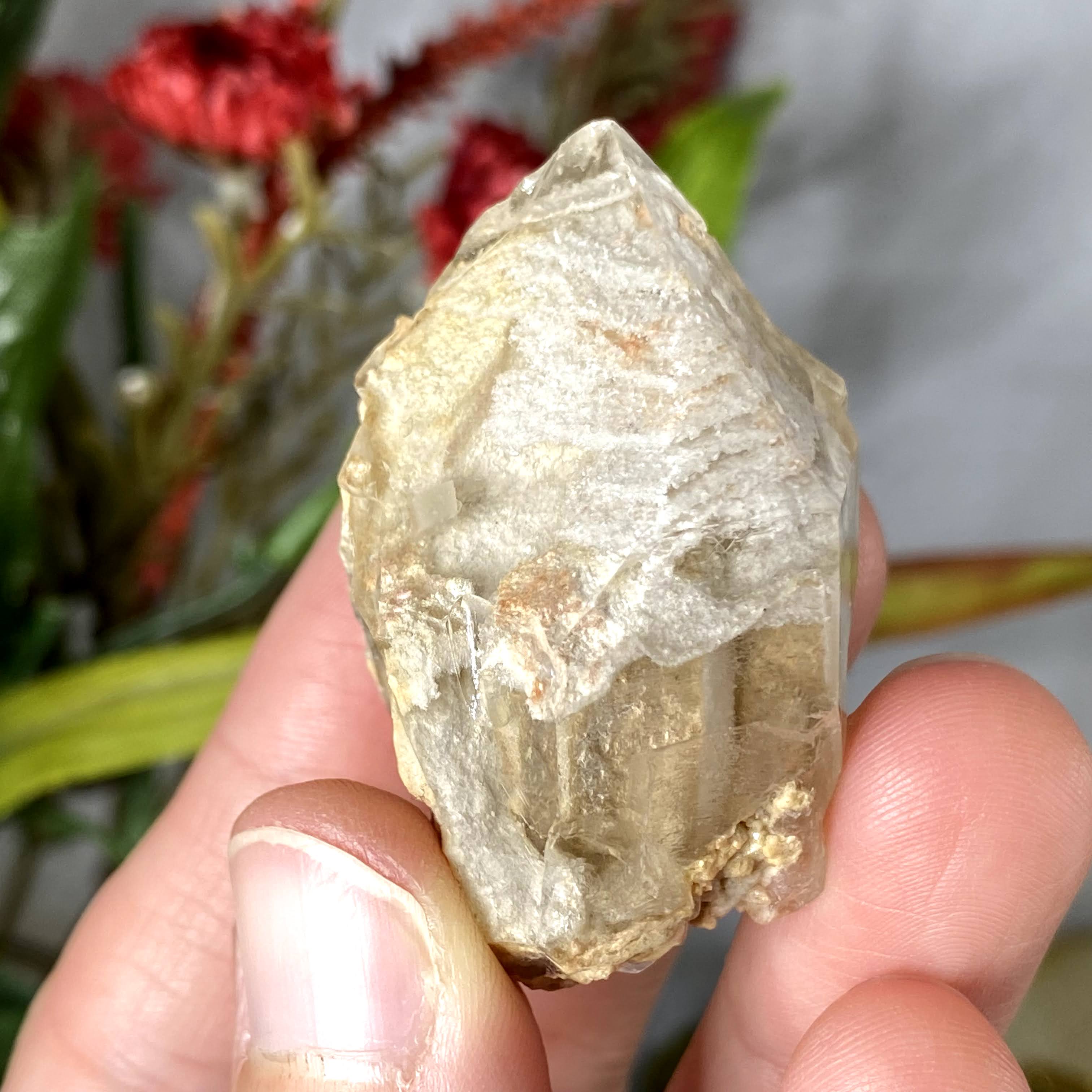 Lodolite / Scenic Quartz / Shamanic Dream Stone / Included Quartz Crystal Specimen! (408)