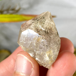 Lodolite / Scenic Quartz / Shamanic Dream Stone / Included Quartz Crystal Specimens, (620-RECORD KEEPER) / 621) Choose your own!
