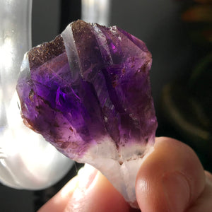 Amethyst- Elestial Amethyst Points with Hematite, and Clear Quartz Roots! (849, 854, 860, 859))