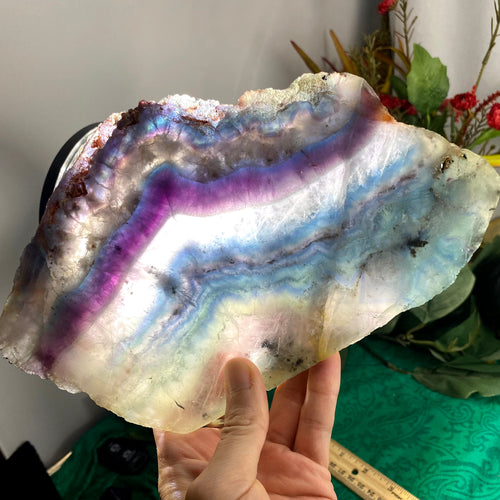 Fluorite- XL SUPER Dreamy Fluorite Slice / Slab! B883