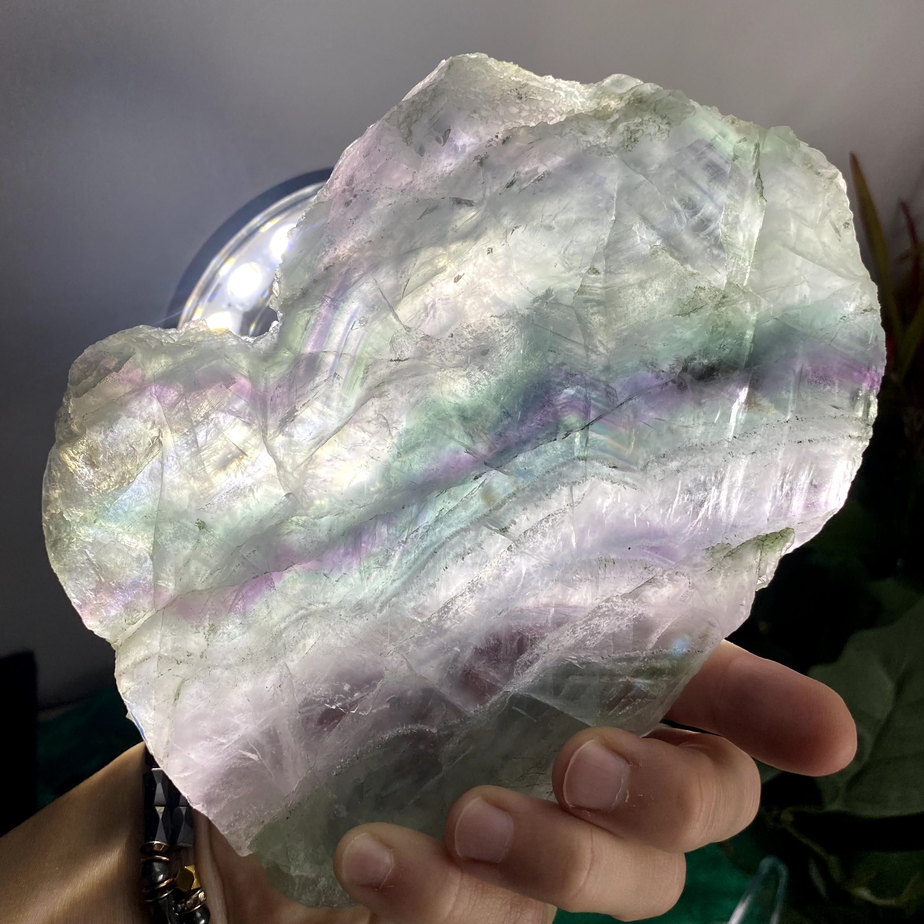 Fluorite- LG Soft Colored Dreamy Fluorite Slice / Slab! B880