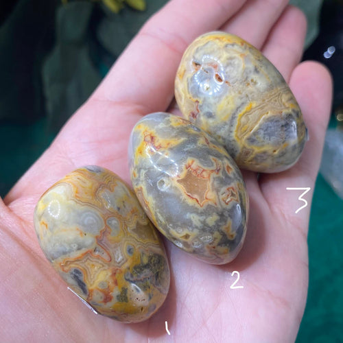 Agate - Crazy Lace / Mexican Lace Agate Large Tumbles / XS Palm Stones! (A554)