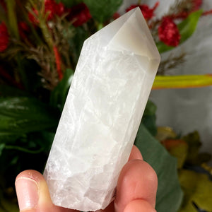 Agate - Heavenly Agate & Clear Quartz Towers / Points / Obelisks! (B951/B952/B953/B954)