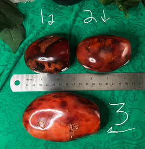 Carnelian - Polished Self Standing Carnelian Freeforms! Choose the one that speaks to YOU! (A27/A28/A29)