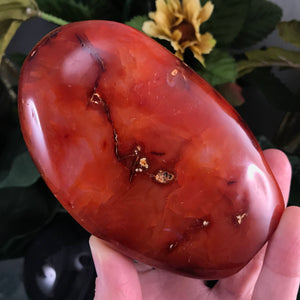 Carnelian - Polished Self Standing Carnelian Freeforms! Choose the one that speaks to YOU! (A27/A28/A29)