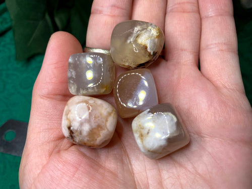Agate - Flower Plume Agate Tumbled Stone (small- A990)