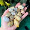 Agate - Crazy Lace Agate Tumbled Stone (medium- A553)