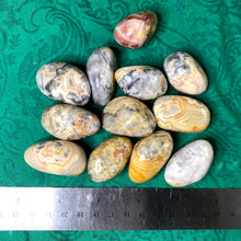 Load image into Gallery viewer, Agate - Crazy Lace Agate Tumbled Stone (medium- A553)