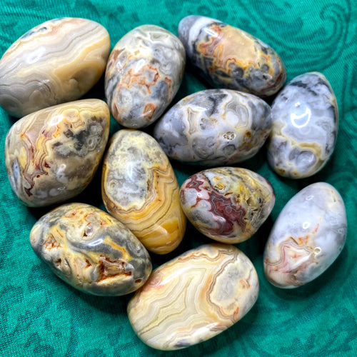 Agate - Crazy Lace Agate Tumbled Stone (medium- A553)