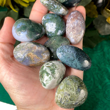 Load image into Gallery viewer, Agate - Dreamy Moss Agate Tumbled Stones! (Medium-A966)
