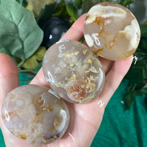 Agate - Flower Plume Agate Dreamy Palm Stones! (C36/C37/C38)