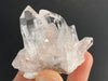 Colombian Quartz- "Pink Lemurian" Colombian Quartz Gorgeous Cluster! C893