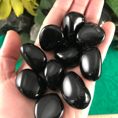 Obsidian- Black Obsidian Medium Tumbled Stones! (A220)