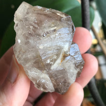 Load image into Gallery viewer, Smokey Elestial- Double Terminated Smokey Elestial Quartz Covered in Etching and goodness!