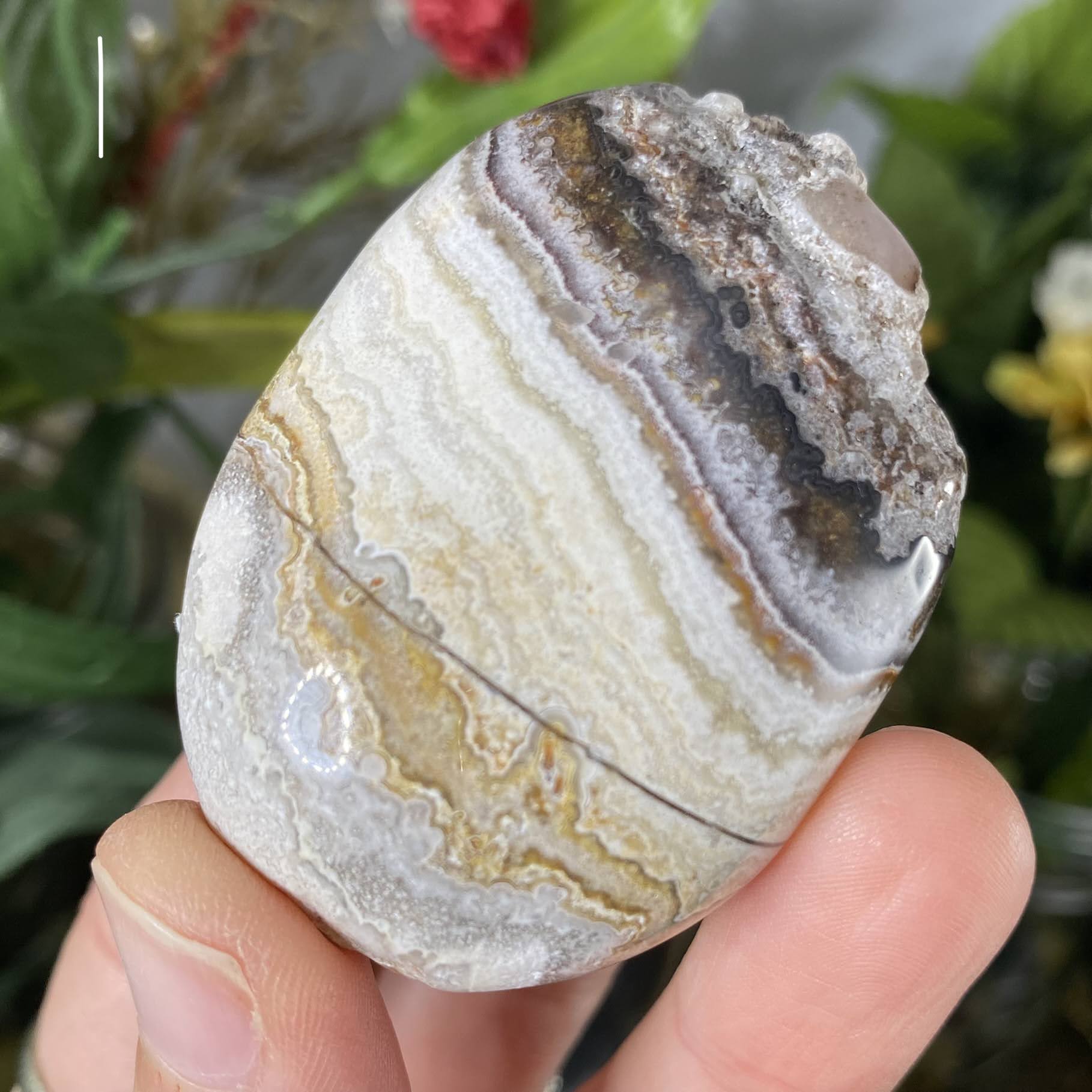 Agate - Crazy Lace / Mexican Lace Agate Palm Stones! (C84-C88)