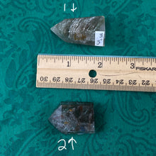 Load image into Gallery viewer, Lodolite / Scenic Quartz / Shamanic Dream Stone / Included Quartz Mini Towers / Points! C386 C383