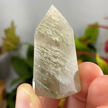 Load image into Gallery viewer, Lodolite / Scenic Quartz / Shamanic Dream Stone / Included Quartz Mini Towers / Points! C386 C383