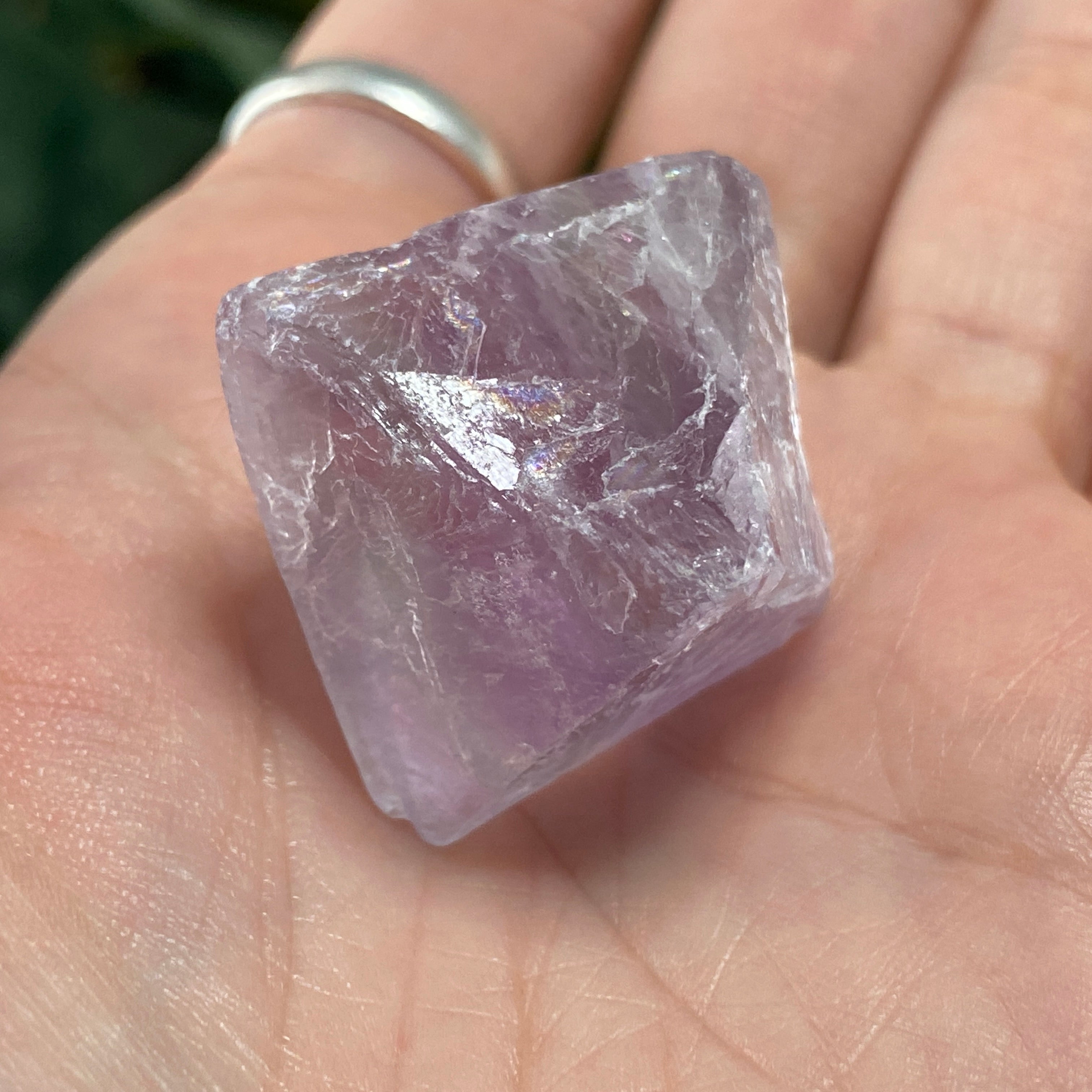 Fluorite - Purple With a Hint of Green Fluorite Octahedron Shape XLarge! C224