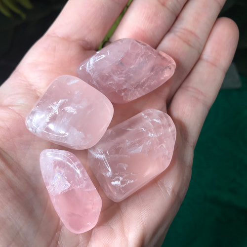 Rose Quartz Medium Size Tumbled Crystal!