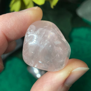 Rose Quartz Medium Size Tumbled Crystal!