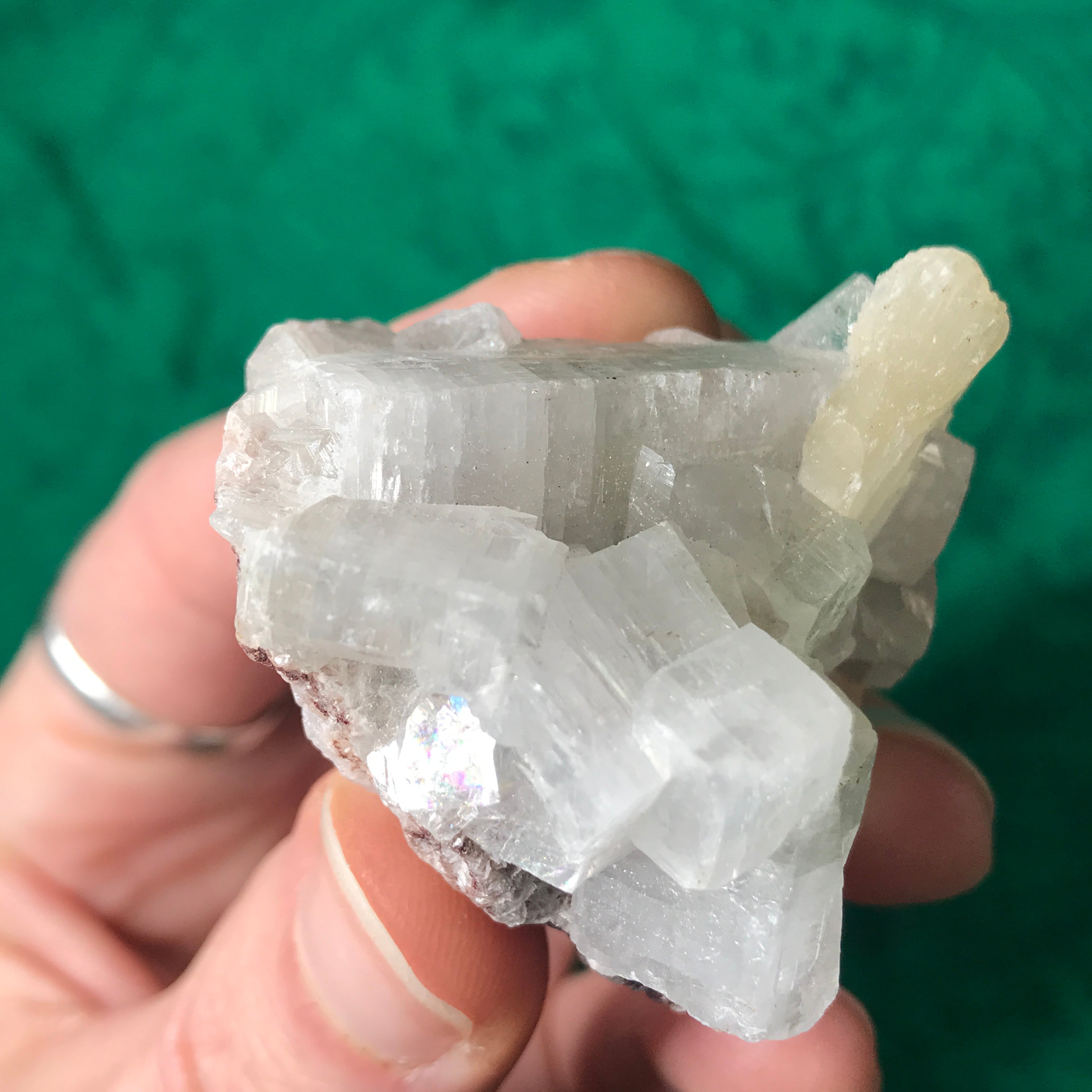 Apophyllite Clusters Medium!