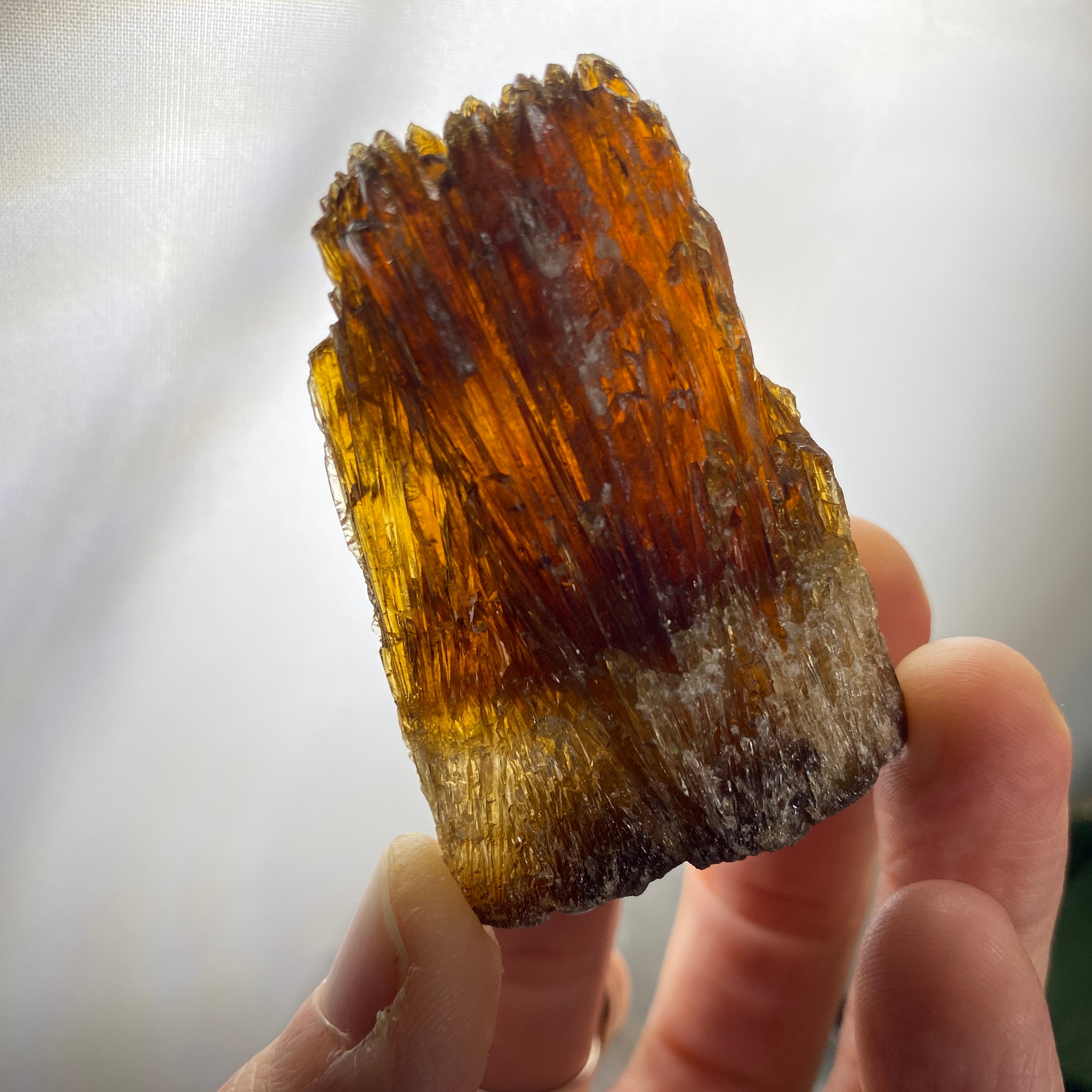 Calcite - "Root Beer" / "Amber" Dogtooth Calcite Specimens - C811 C812 C814 C817