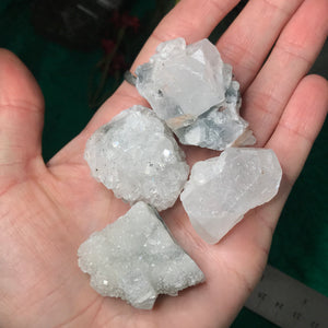 Apophyllite Clusters Small-Med!
