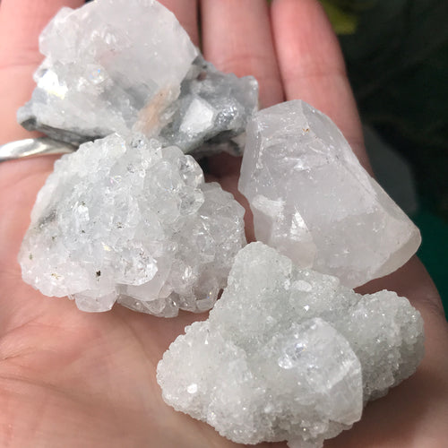 Apophyllite Clusters Small-Med!