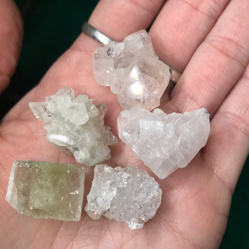 Apophyllite Xtra Small Clusters & Cube!