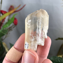 Load image into Gallery viewer, Selenite (True Selenite) Blades &amp; Pieces! Group 1 (price per piece)
