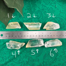 Load image into Gallery viewer, Selenite (True Selenite) Blades &amp; Pieces! Group 2 (price per piece)