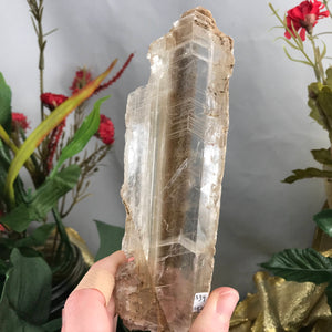 Selenite-GORGEOUS Mineral Specimen Included Selenite Wand! (A329)