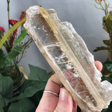 Load image into Gallery viewer, Selenite-GORGEOUS Mineral Specimen Included Selenite Wand! (A329)