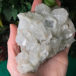 Apophyllite Cluster with Multiple Generations of Growth and a Touch of Green