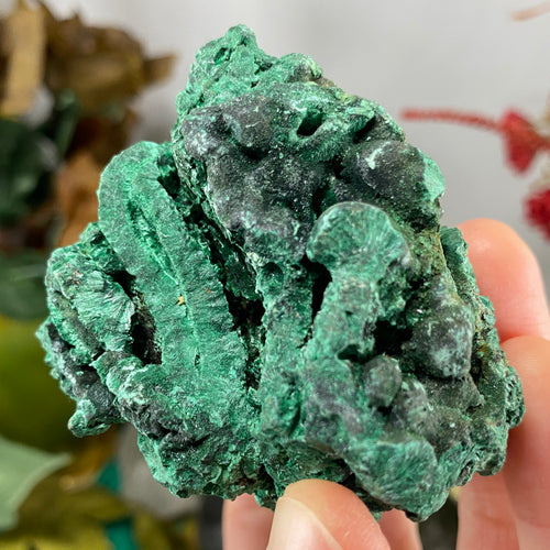 Malachite - Gorgeous Fibrous Malachite Display Specimen (C229)!
