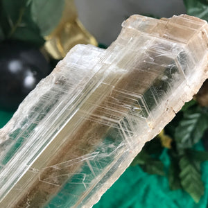 Selenite-GORGEOUS Mineral Specimen Included Selenite Wand! (A329)