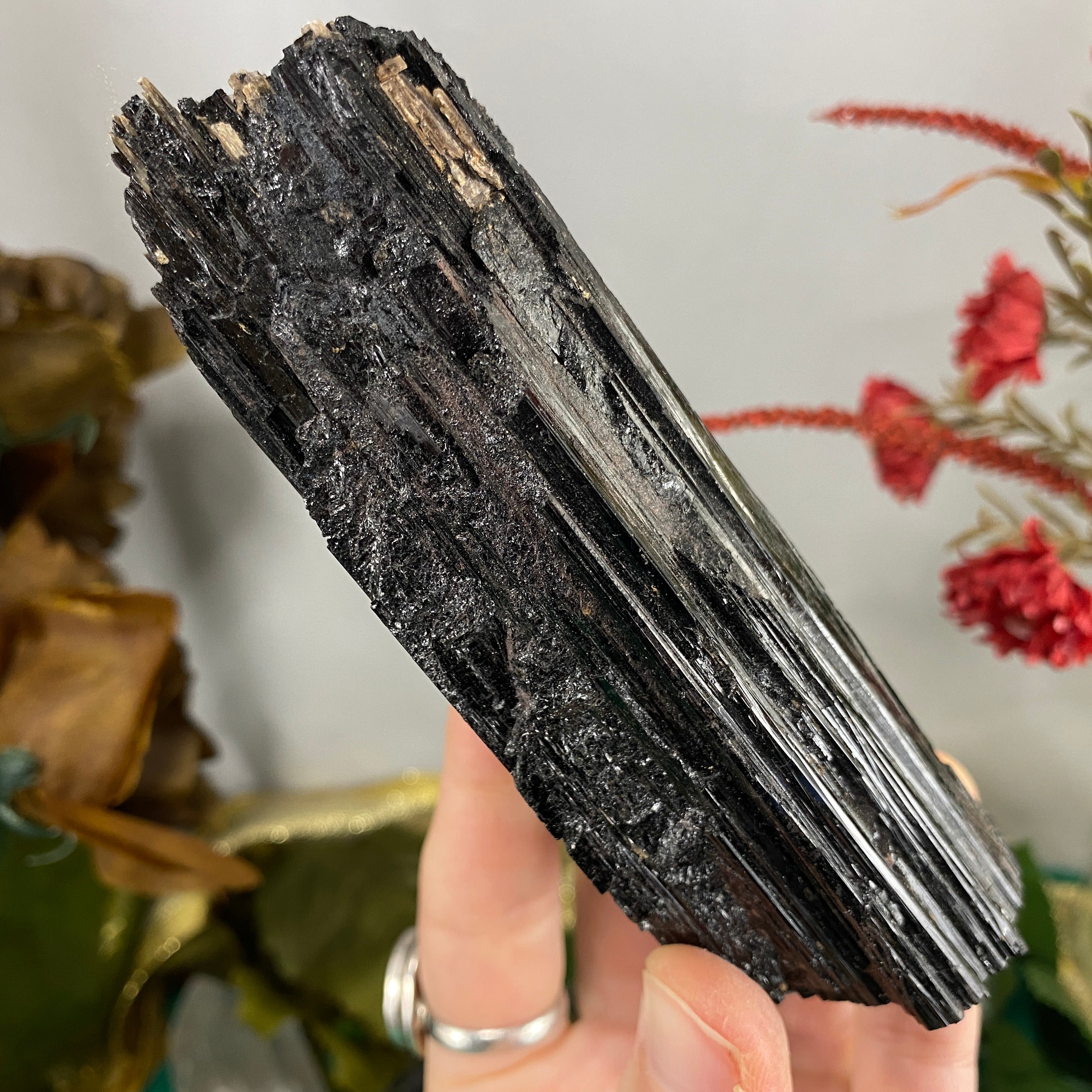 Black Tourmaline (schorl) - Big Black Tourmaline Specimen! C470
