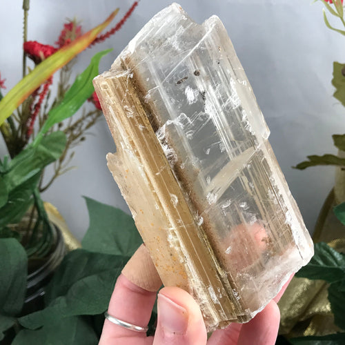 Selenite-BIG OLE GORGEOUS Included Selenite Wand Mineral Specimen! (A338)