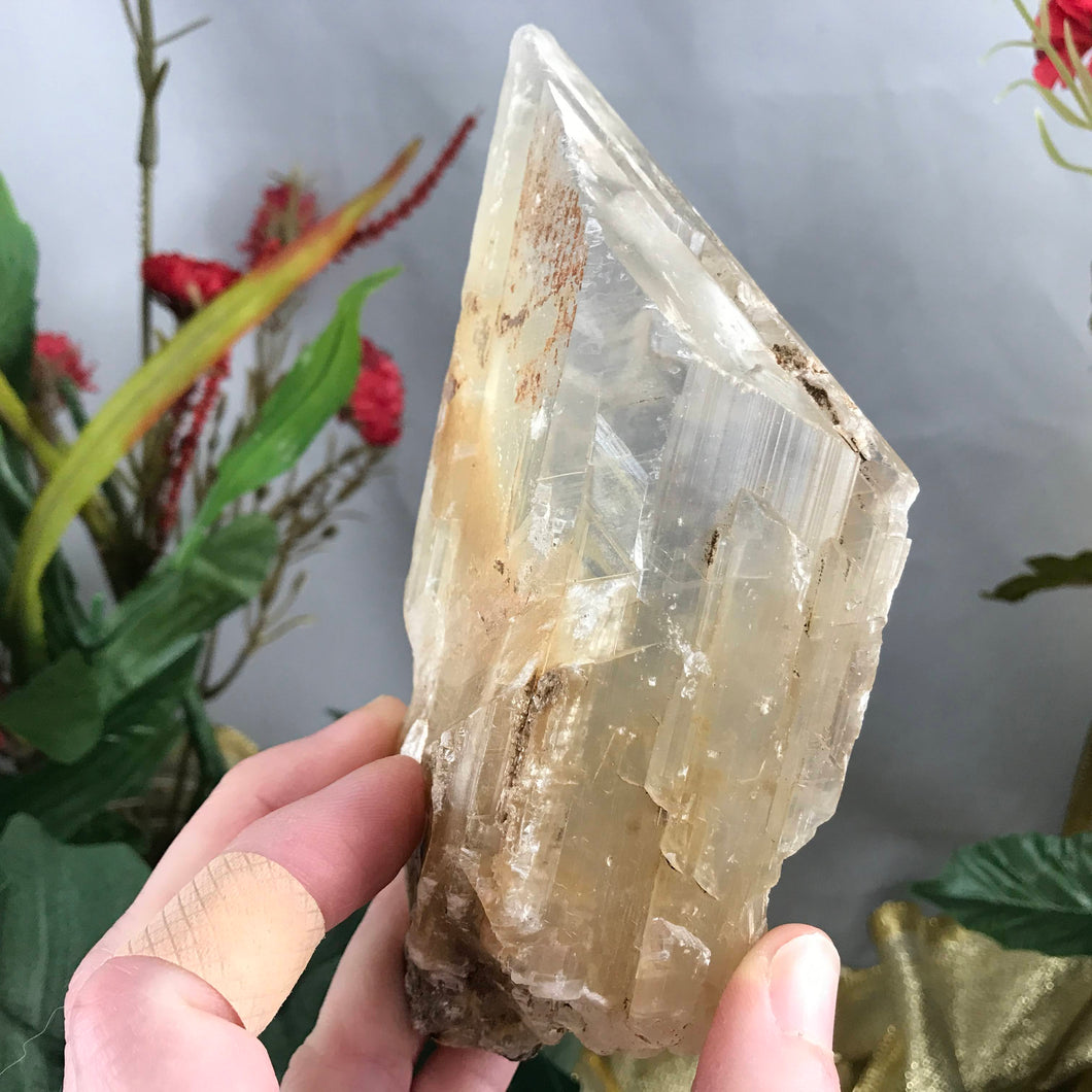 Selenite-BIG OLE GORGEOUS Included Selenite Blade Wand Mineral Specimen! (A337)
