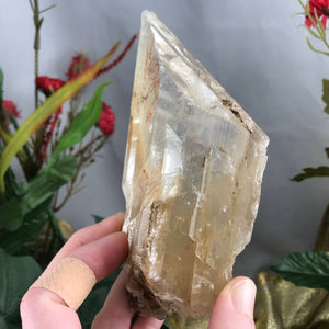 Selenite-BIG OLE GORGEOUS Included Selenite Blade Wand Mineral Specimen! (A337)