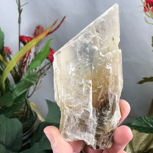 Selenite-BIG OLE GORGEOUS Included Selenite Blade Wand Mineral Specimen! (A337)