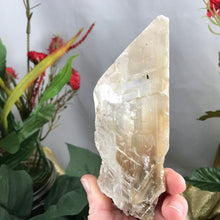 Load image into Gallery viewer, Selenite-BIG OLE GORGEOUS Included Selenite Blade Wand Mineral Specimen! (A337)