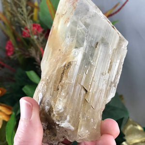 Selenite-BIG OLE GORGEOUS Included Selenite Blade Wand Mineral Specimen! (A337)