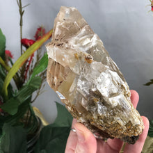 Load image into Gallery viewer, Selenite-BIG OLE BEAUTIFUL Selenite Blade Mineral Specimen! (A341)