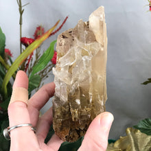 Load image into Gallery viewer, Selenite-BIG OLE BEAUTIFUL Selenite Blade Mineral Specimen! (A341)