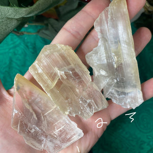 Selenite- True Selenite Blade Mineral Specimens! (A310/A317/A319)
