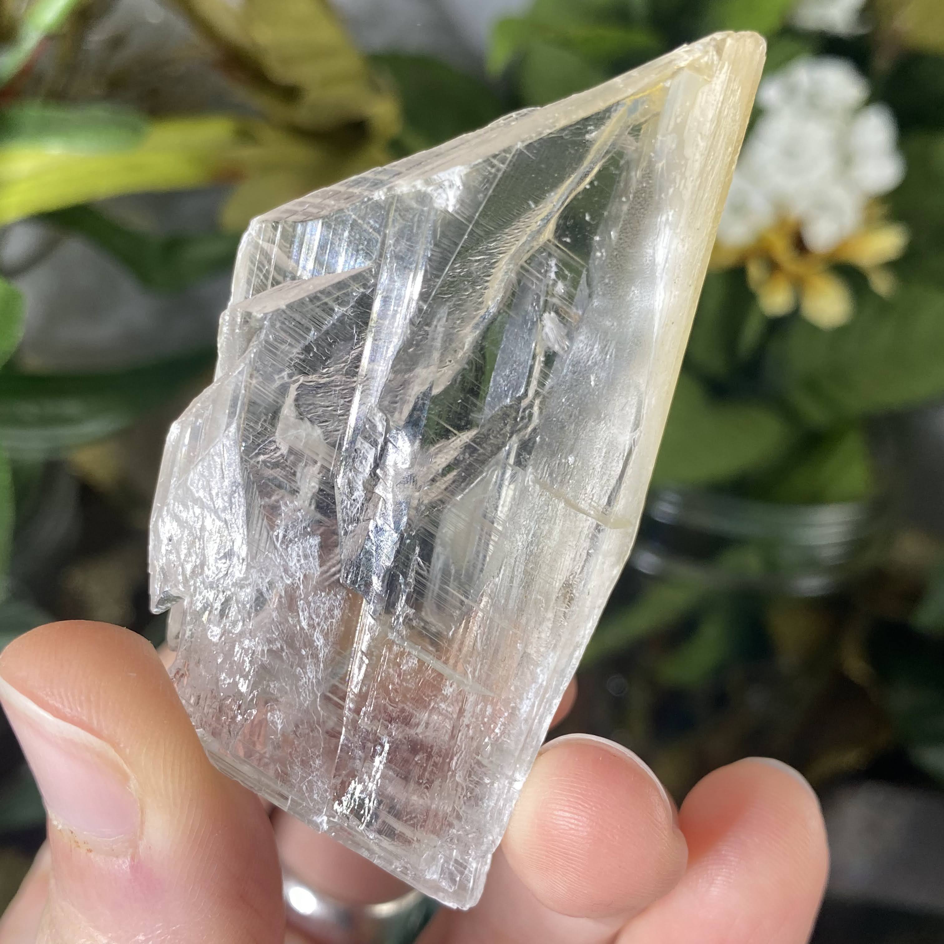Selenite- True Selenite Blade Mineral Specimens! (A310/A317/A319)