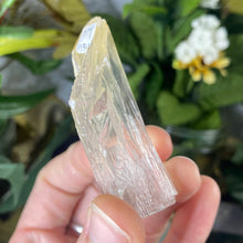 Load image into Gallery viewer, Selenite- True Selenite Blade Mineral Specimens! (A310/A317/A319)